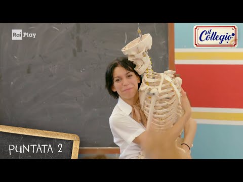 Tra la lezione e la domanda di ammissione - Seconda puntata - Il Collegio 6