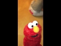Felicity TMX Elmo