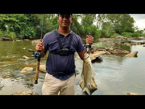 Insane TOP WATER action in TROPICAL freshwater with DUO Realis Pencil 85