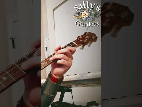 Sally’s Gardens Reel #irishtrad #irishtraditionalmusic #banjo #irishreel #sallysgarden #tenorbanjo