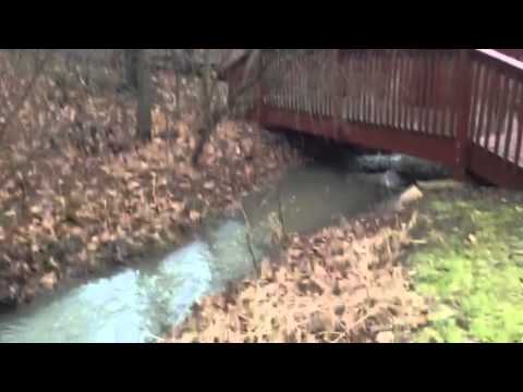 Casa de Oscar plano 4