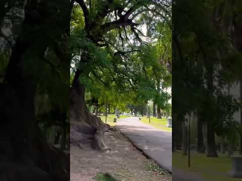 Es más que una excelente tarde en el parque General Paz en #saavedra #walking #shorts #tour #bsas