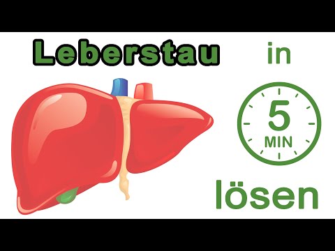 Leberstau in 5 Minuten lösen