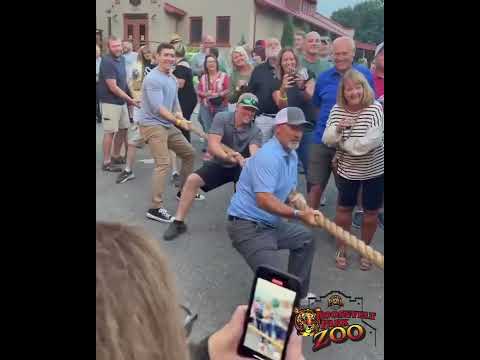 Tiger Tug of War at Roosevelt Park Zoo, watch who won