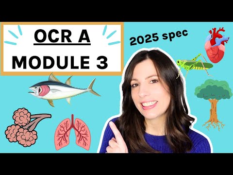 OCR A-Level Biology Module 3: Exchange Surfaces, Transport in Animals and Plants - Complete Guide