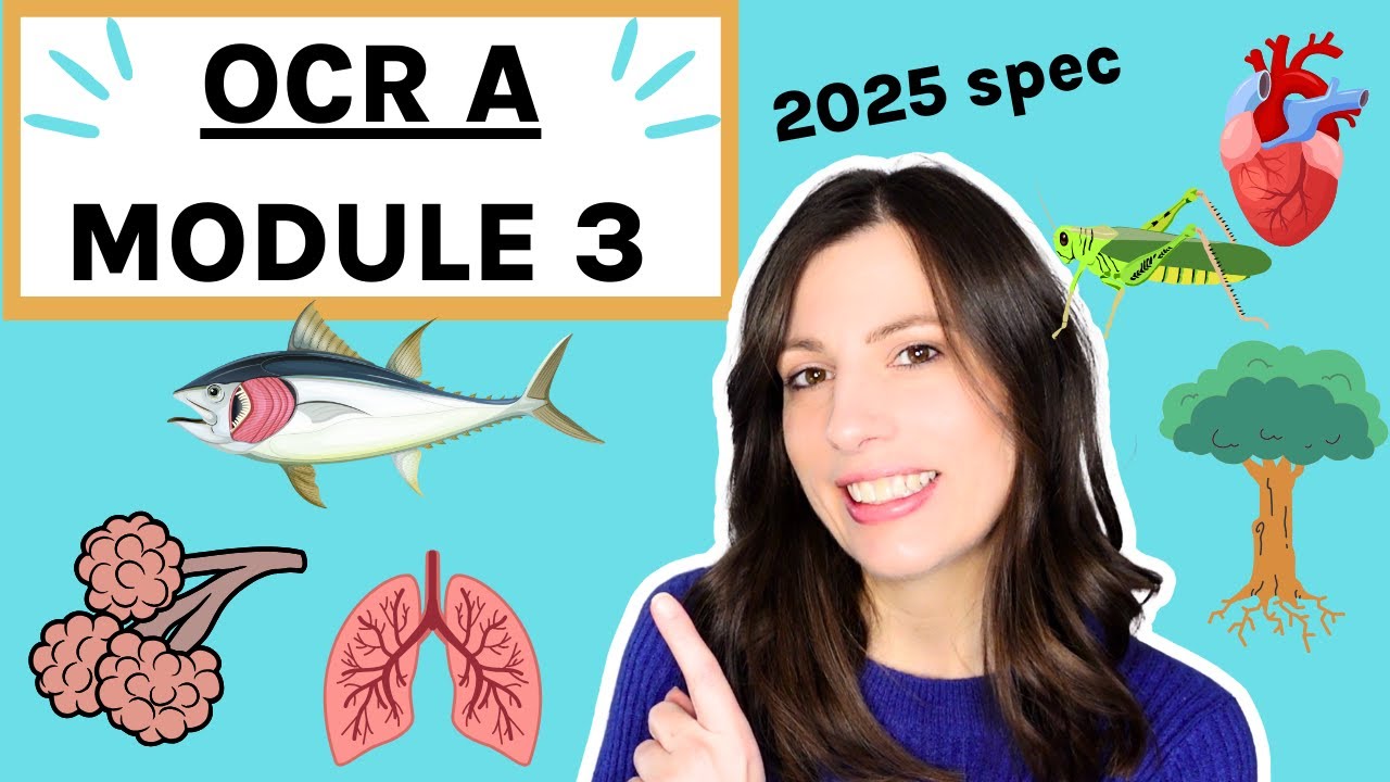 OCR A-Level Biology Module 3: Exchange Surfaces, Transport in Animals and Plants - Complete Guide