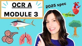 OCR A-Level Biology Module 3: Exchange Surfaces, Transport in Animals and Plants - Complete Guide