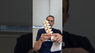 Progressive Spine & Orthopaedics