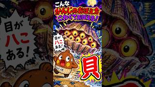 こんな漢字の覚え方は怖くて簡単に覚える「貝」小１漢字