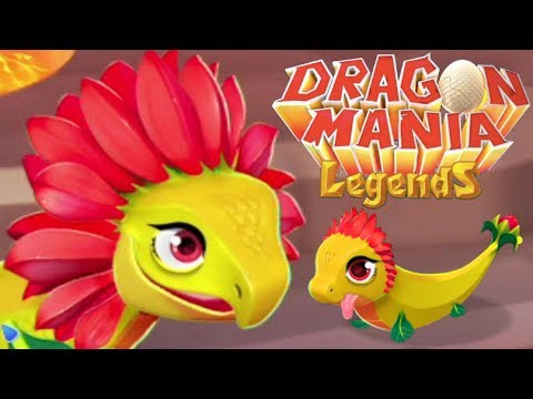 REDFLOWER DRAGON BREEDING GUIDE! How to Breed the Epic Redflower Dragon DML! (DOTW Nov 6-13th)