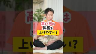 高い声は犬の興奮グセを煽るよ！#犬のいる暮らし #dog #犬
