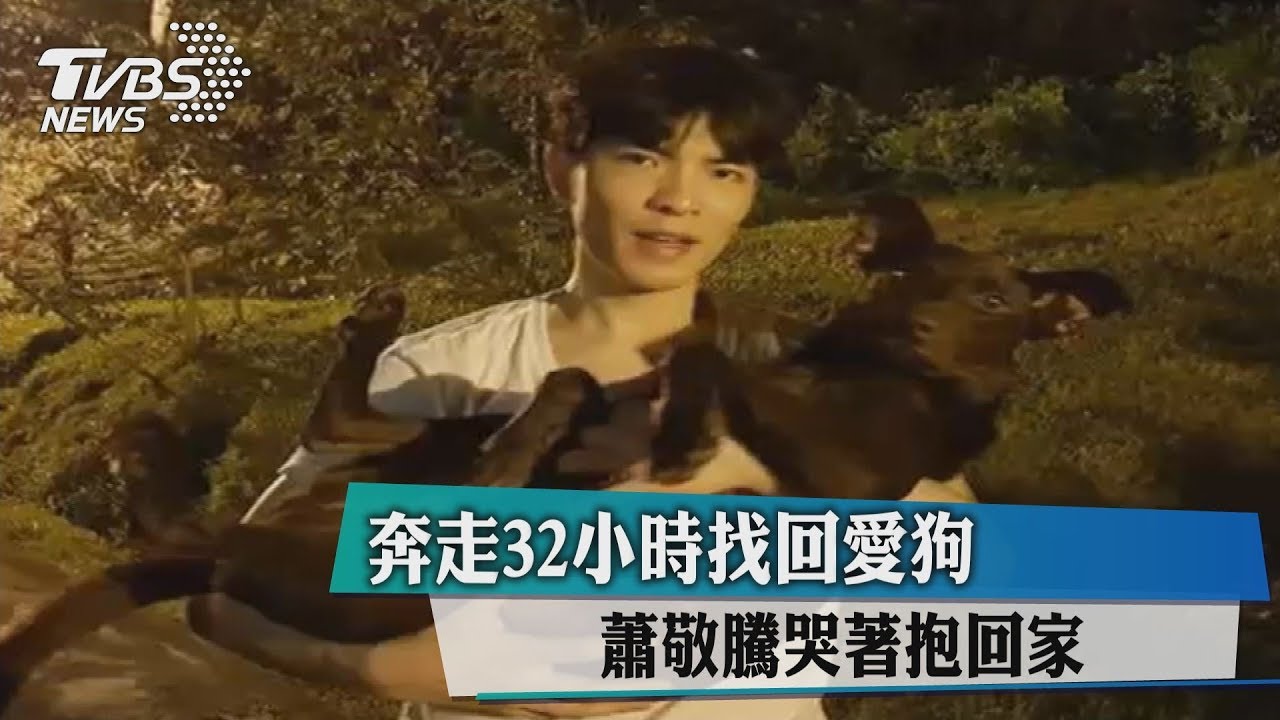 找到了!32小時地毯式搜索 蕭敬騰尋回愛犬哭了