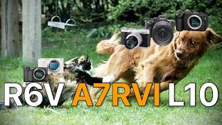 Canon R6V, Sony A7R VI, Panasonic L10 (3 PROBLEMS 2 SOLUTIONS)