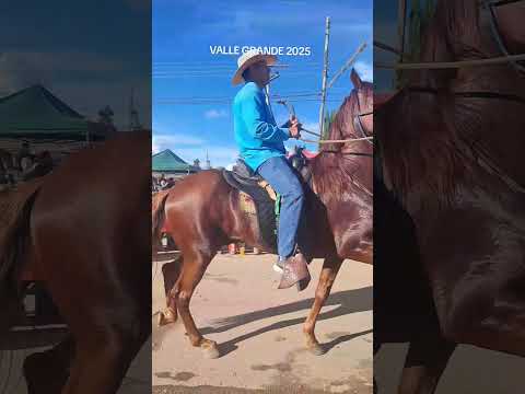 Carnaval Valle Grande 2025