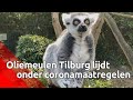 Bastiënne ligt bijna wakker van de dreigende sluiting van dierenpark De Oliemeulen
