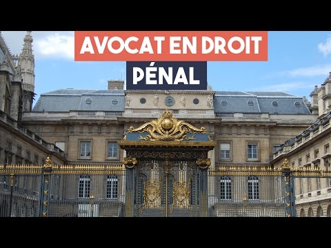 Lawyers: criminal law specialty