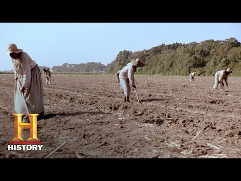 Roots: A History Revealed - Failed Promises | History