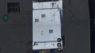 Google Earth Secret Location 🤯 Giant Spider 🕷️ Found On Google Map 😱#shorts @MRINDIANHACKER
