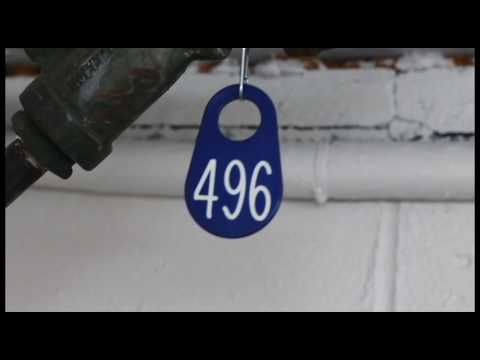 Wlav- A.M. (Official Video)