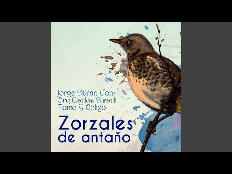 El Patio De La Morocha