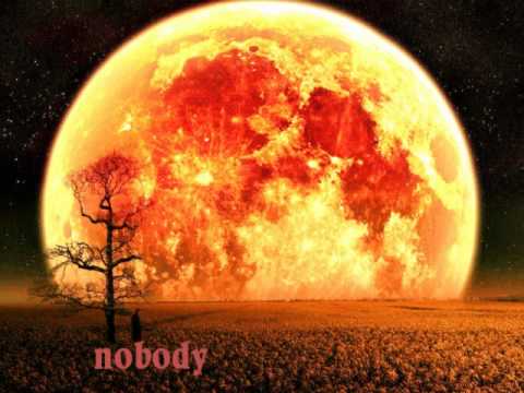 Nobody - What Fall Brings