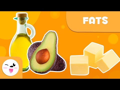 What are fats? - Healthy Eating for Kids