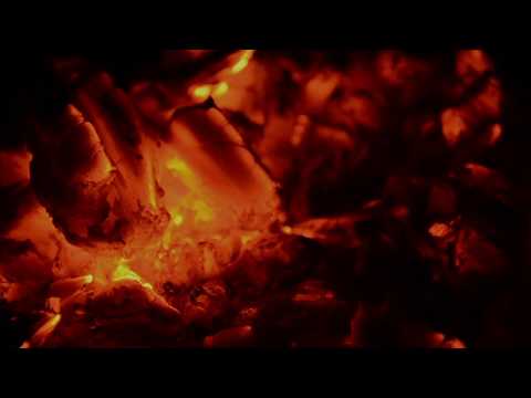 SPIRIT (2019) - Zao Van den Brempt