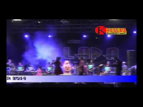 Pallapa 3 hari 3 malam