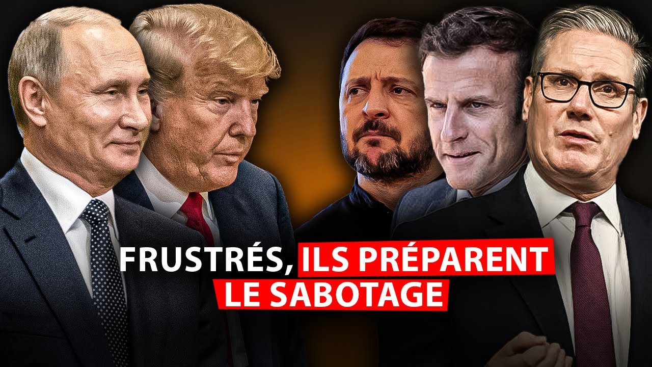 Attenta sous faux drapeau. L'Ukraine et l'UE tentent de détruire les négociations en Alaska.