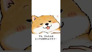 【犬がお腹を見せる理由】実は信頼のサイン？なでてほしい時の気持ちを解説
