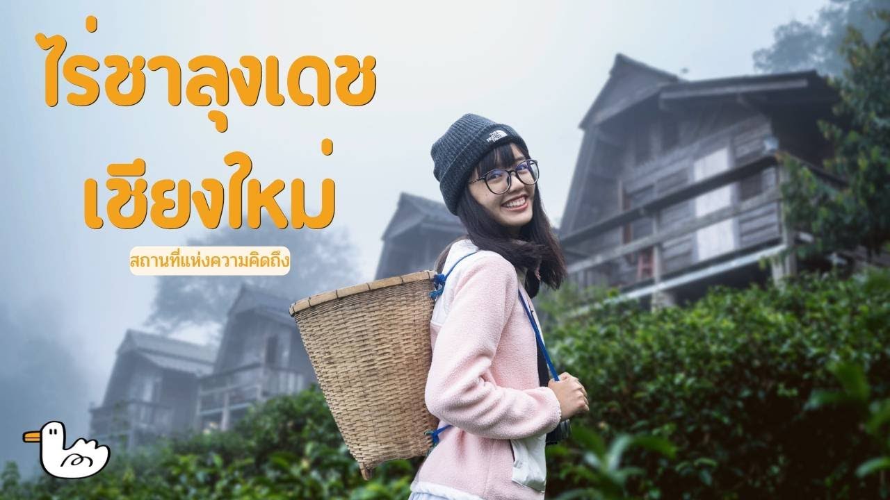 ไร่ชาลุงเดช
