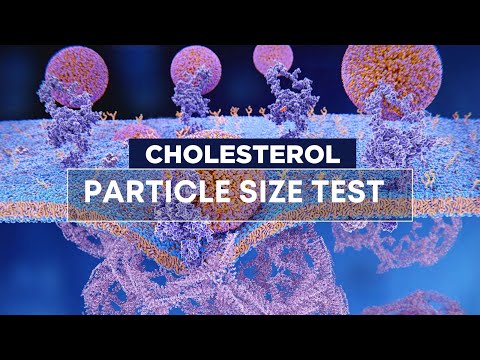 Particle Size Cholesterol Test