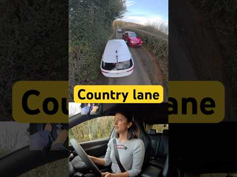 Squeeze past 😭 #driving #car #country #road