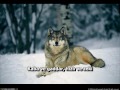Motörhead - In the Year of the Wolf (Türkçe Altyazı)