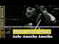 Anbe Amutha Sad Song Amudha Movie Vijayakumari Love Sad Song M S Vishwanathan Hits HD