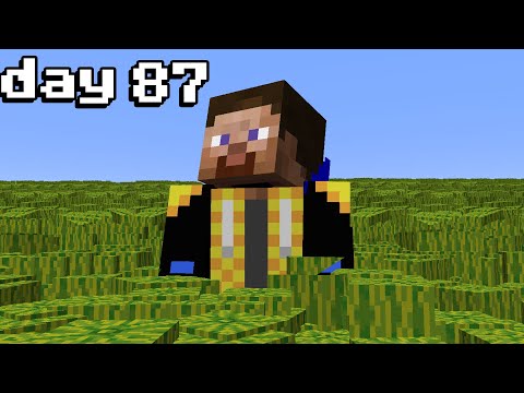 Can you farm 1,000,000 Melons in 100 Minecraft Days?