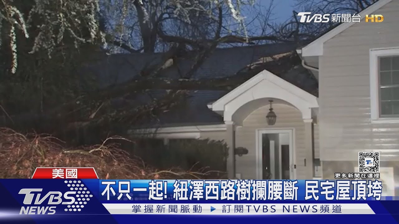 禍從天上來！　美國病樹突然傾倒　過路一家人險遭橫禍