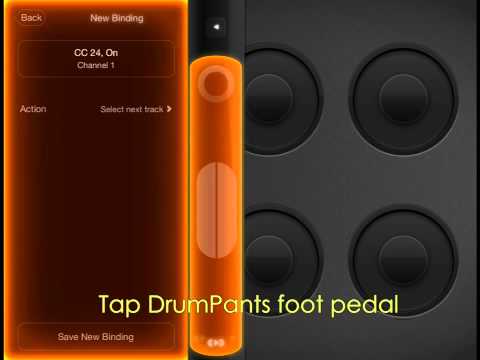 How to Control Loopy HD with DrumPants