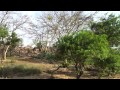 Govardhan Parikrama 2013 (Updated) Govardhan Parikrama 2013 (Updated)