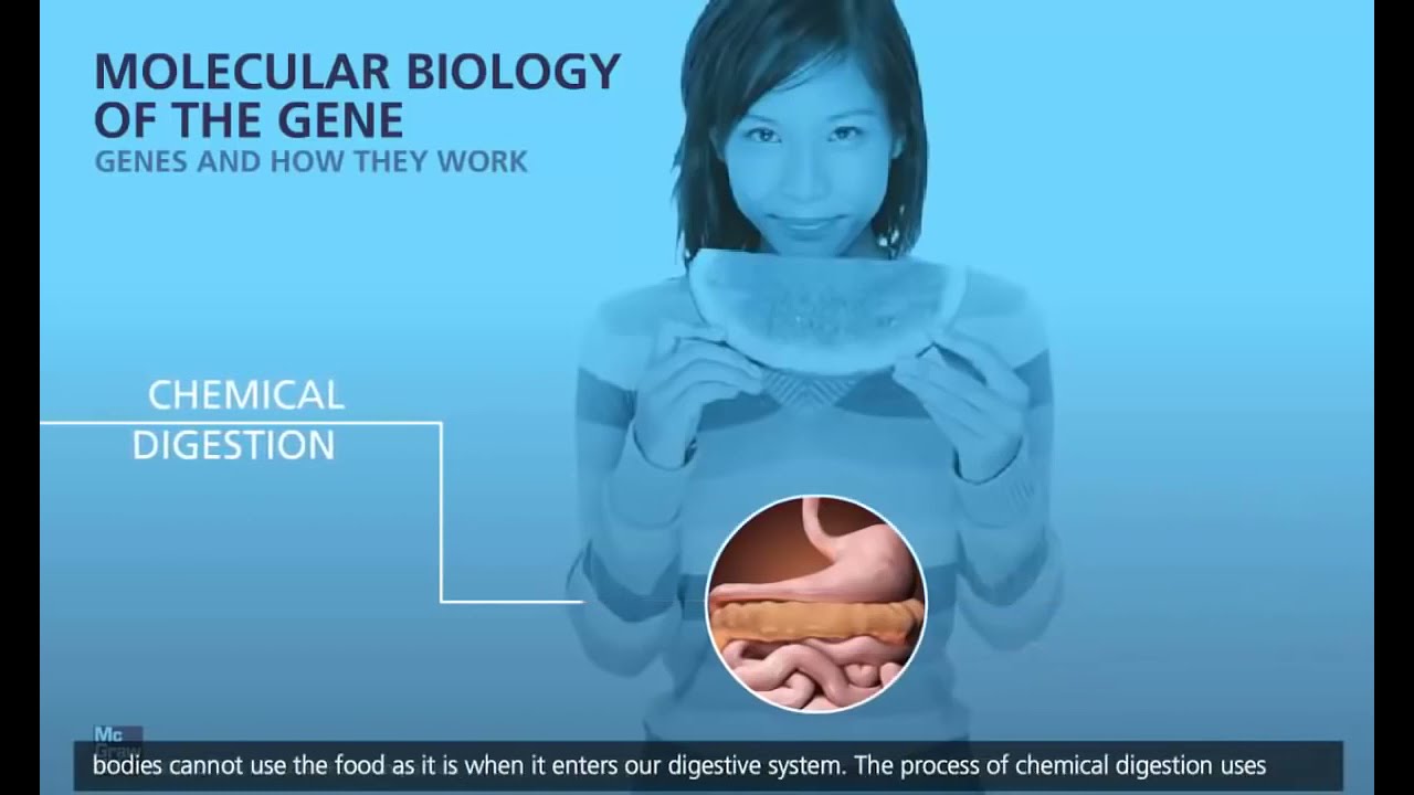 Transcrição e tradução dublado pt br