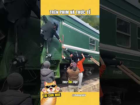 Phim ảnh và thực tế