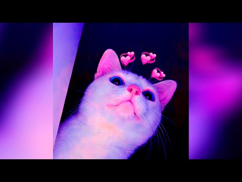 [FREE] Hyperpop x Pop Punk x pyatno type Beat (All clouds are dance for u)