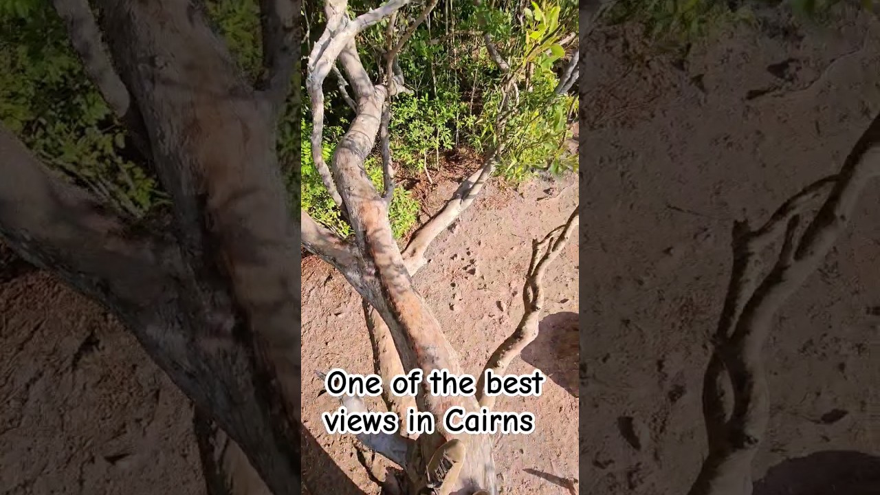 YouTube Short thumbnail