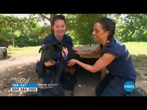 HSN | What A Girl Wants with Sarah Special Edition 10.06.2021 - 05 PM