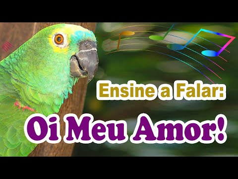 Teach your parrot to talk! Use the phrase "Hi my love" to train your parrot - Phrase to teach a p...