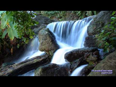 Hino 302 - Alegria inefável - Guarde seu coração.