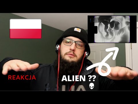 Tymek FIT Brennan Savage  --  Hollow       REAKCJA