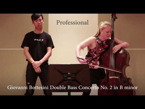 Professional vs Beginner Double Bassist