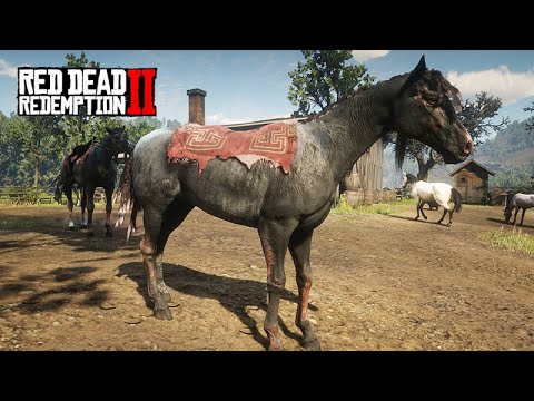 RESGATEI dois cavalos da CORJA DOS MURFREES - Cavalos sofridos - Red Dead Redemption 2
