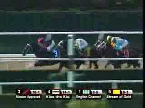 2007 Joe Hirsch Turf Classic Inv.